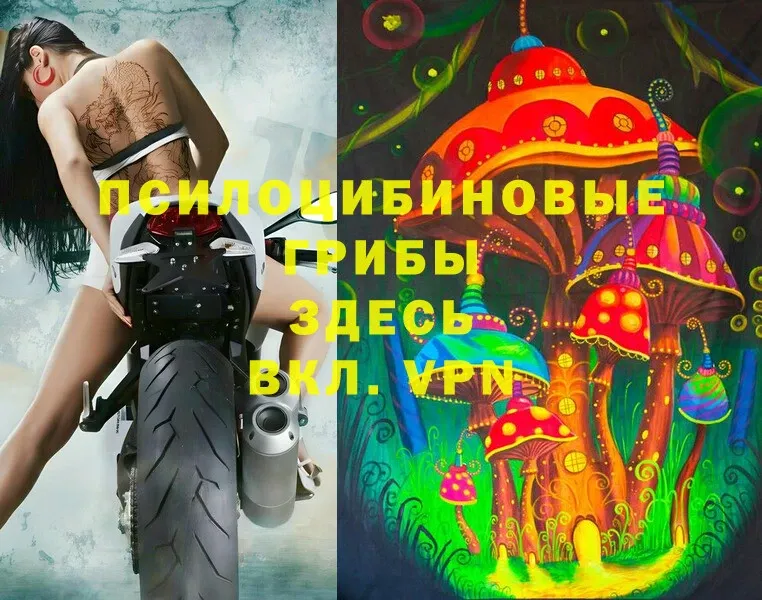 ОМГ ОМГ рабочий сайт  Межгорье  Псилоцибиновые грибы Psilocybe 